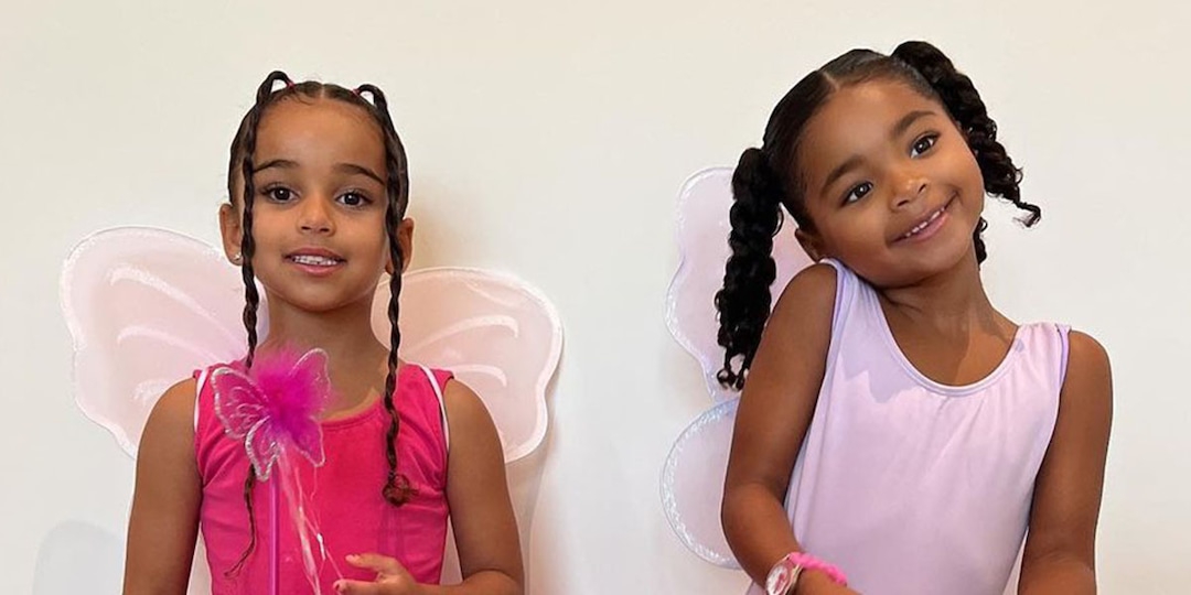 Rob Kardashian Gushes Over Daughter Dream's "Fairy Party" With True Thompson - E! Online.jpg