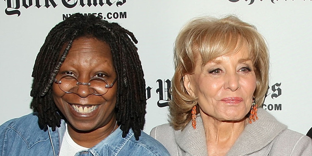 Whoopi Goldberg Sends Birthday Love to Barbara Walters 6 Years After Journalist's Last Public Appearance - E! Online.jpg