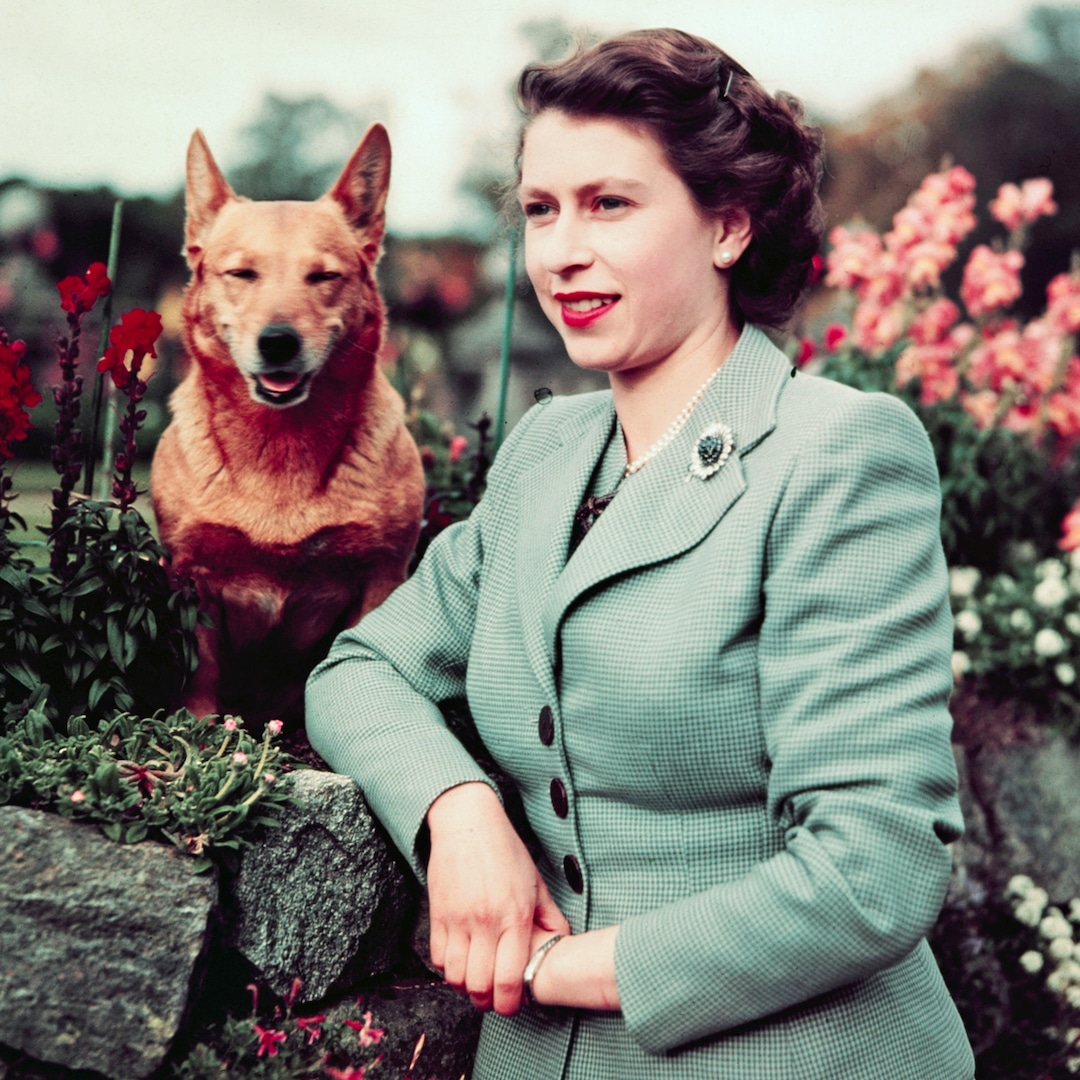 A Look Back at Queen Elizabeth II’s Bond With Her A Look Back at Queen Elizabeth II’s Bond With Her