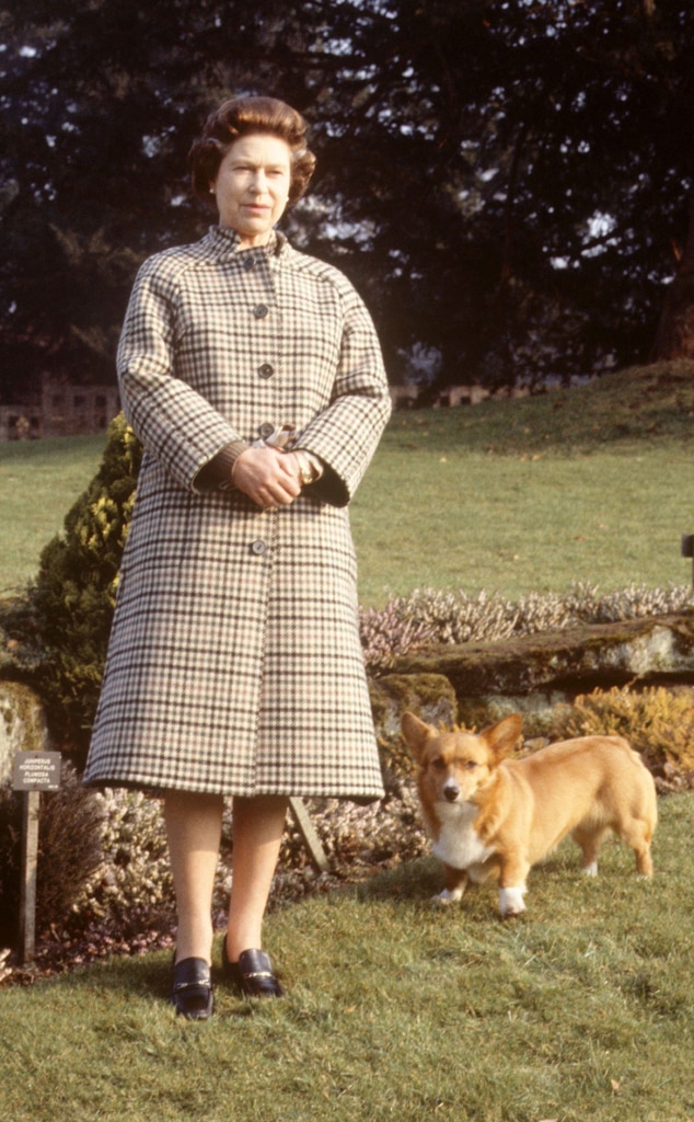 Sarah Ferguson แบ่งปันข้อความอันแสนหวานเพื่อเป็นเกียรติแก่สุนัข Corgis ของ Queen Elizabeth II