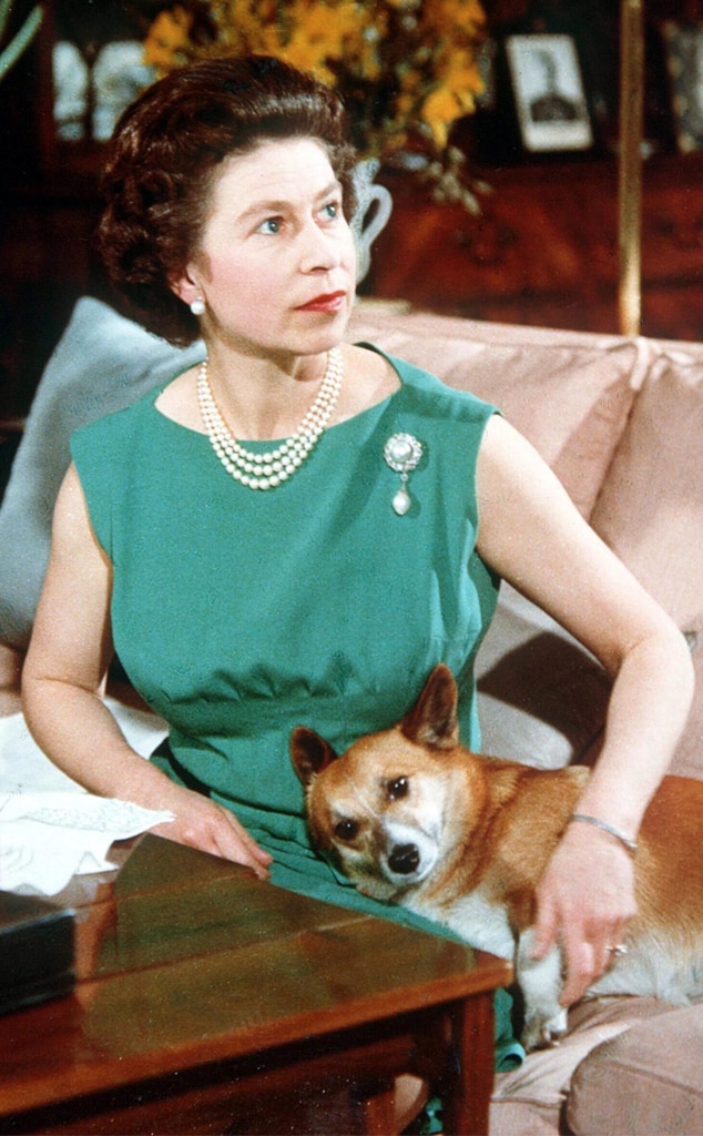 Sarah Ferguson chia sẻ lời nhắn ngọt ngào tôn vinh chó Corgi của Nữ hoàng Elizabeth II