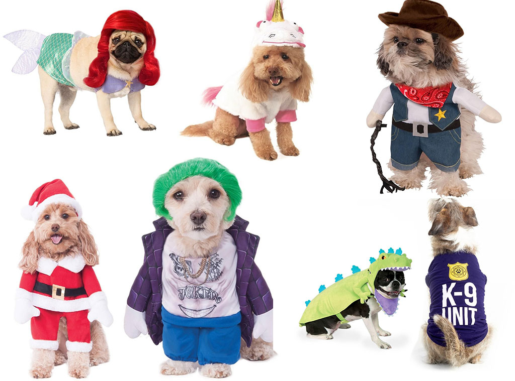 13 Pet Halloween Costumes That Are So Cute, It\'s Scary - E! Online