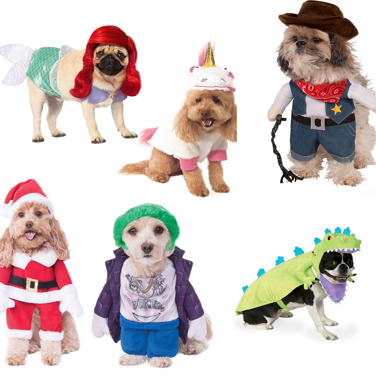 The Top 12 Adorable Halloween Dog Costumes For 2022