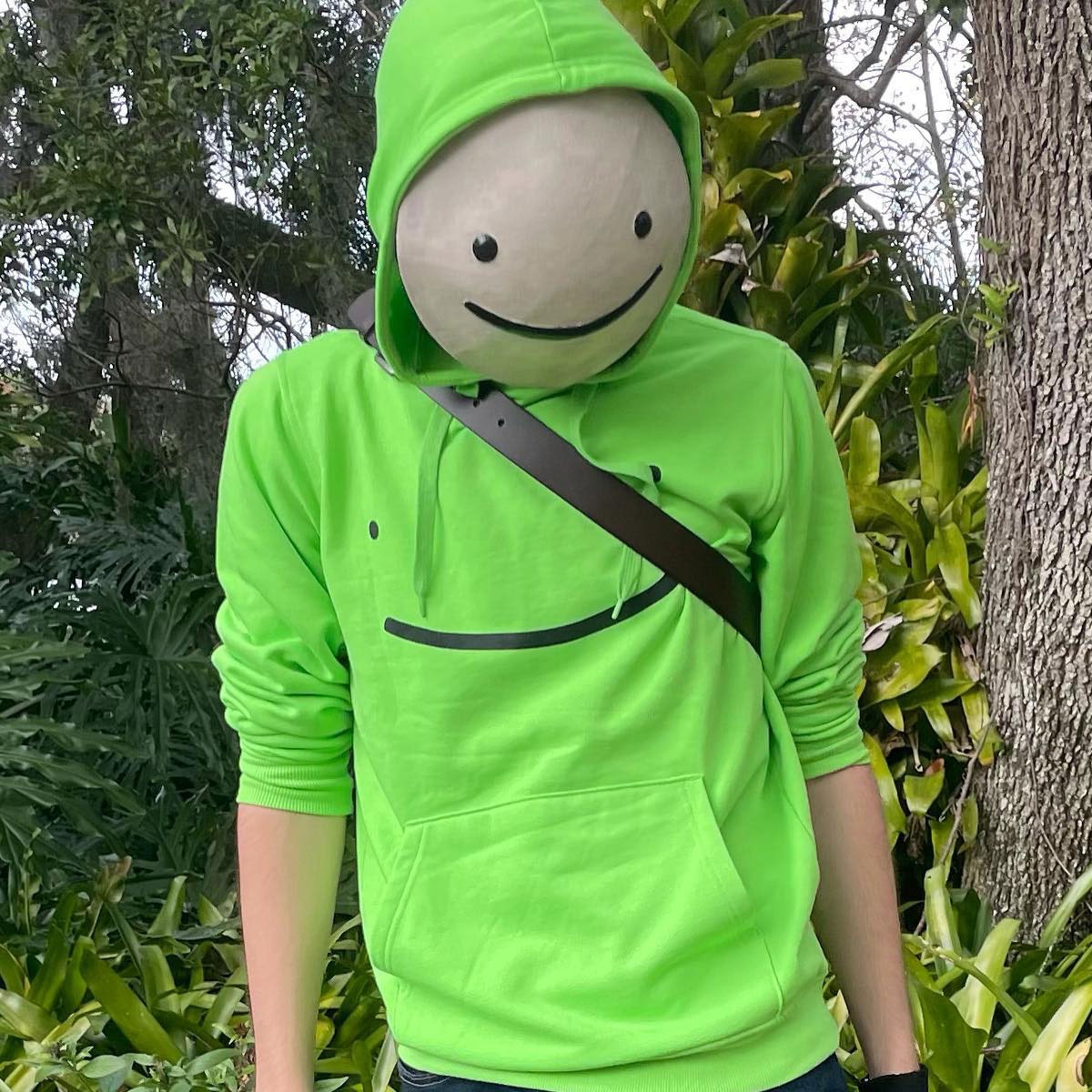 Dream Responds to Face Leak