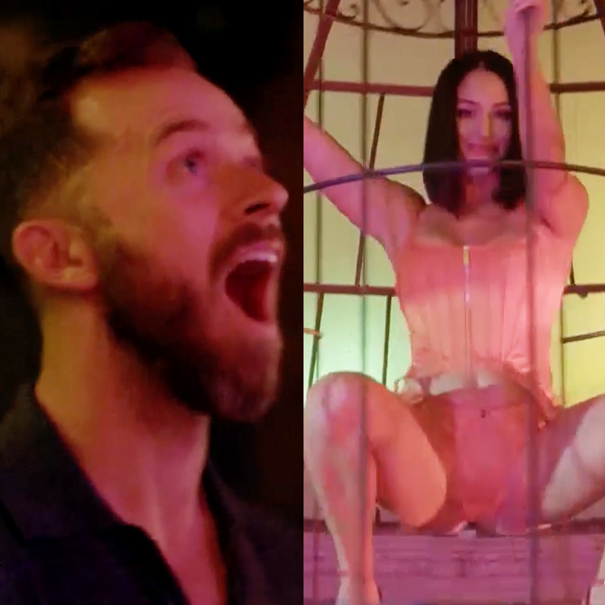 Watch Nikki Bella Surprise Artem Chigvintsev With a Striptease photo picture