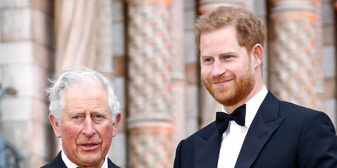 Prince Harry, King Charles Reunite Amid Rift