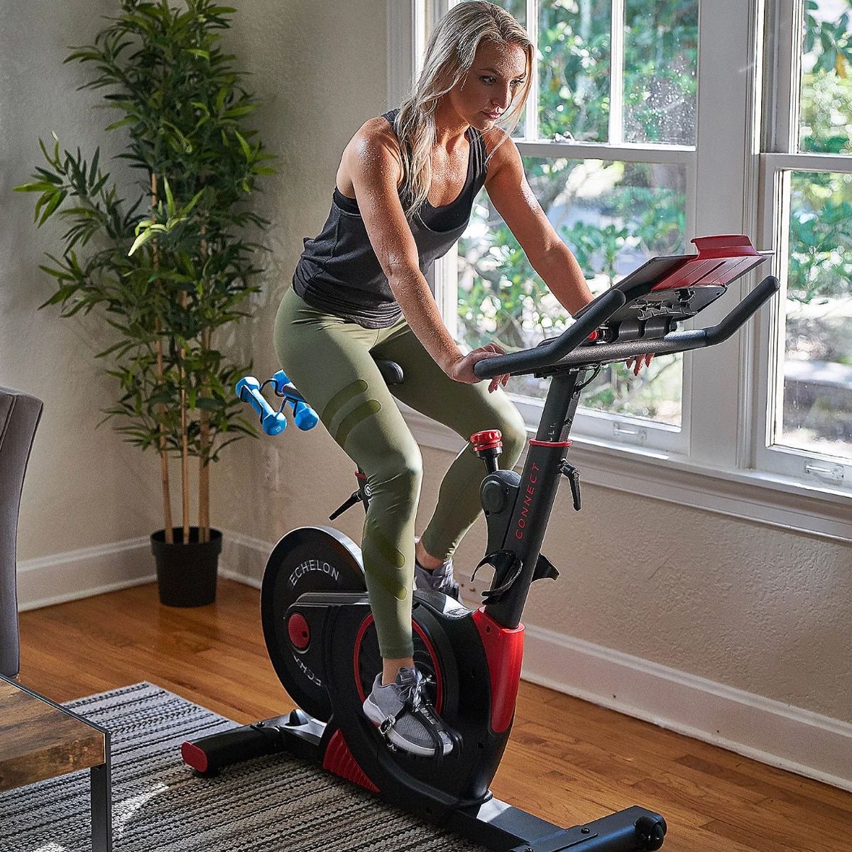 Echelon discount indoor bike