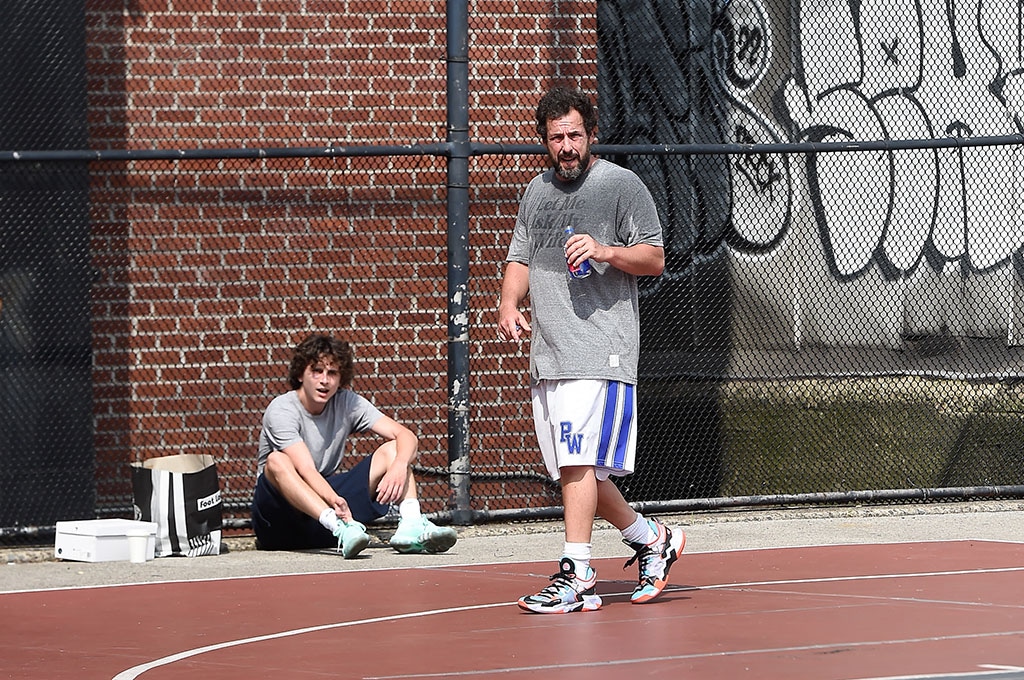 Adam Sandler, Timothee Chalamet