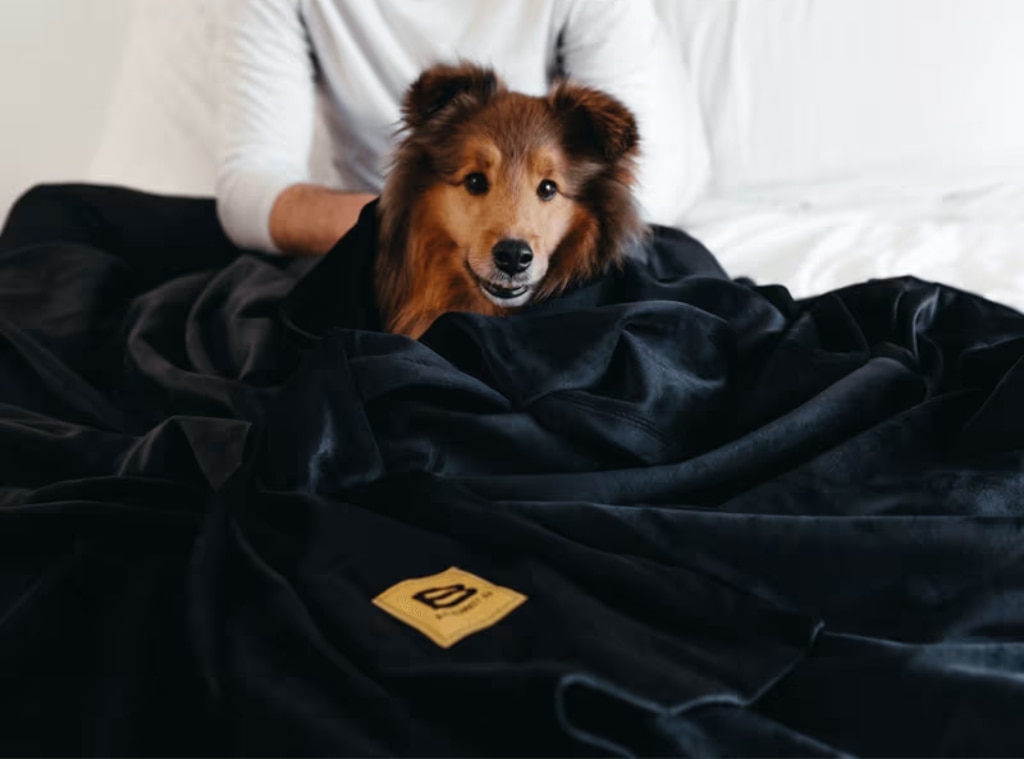 Dog ugg outlet blanket