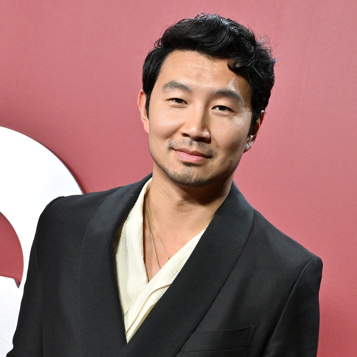 Barbie' and 'Shang-Chi' actor Simu Liu says he is facing health scares –  NBC Connecticut