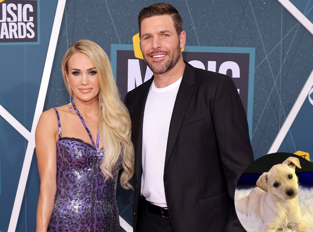 Pregnant Carrie Underwood And Husband Mike Fisher Prepare To Move