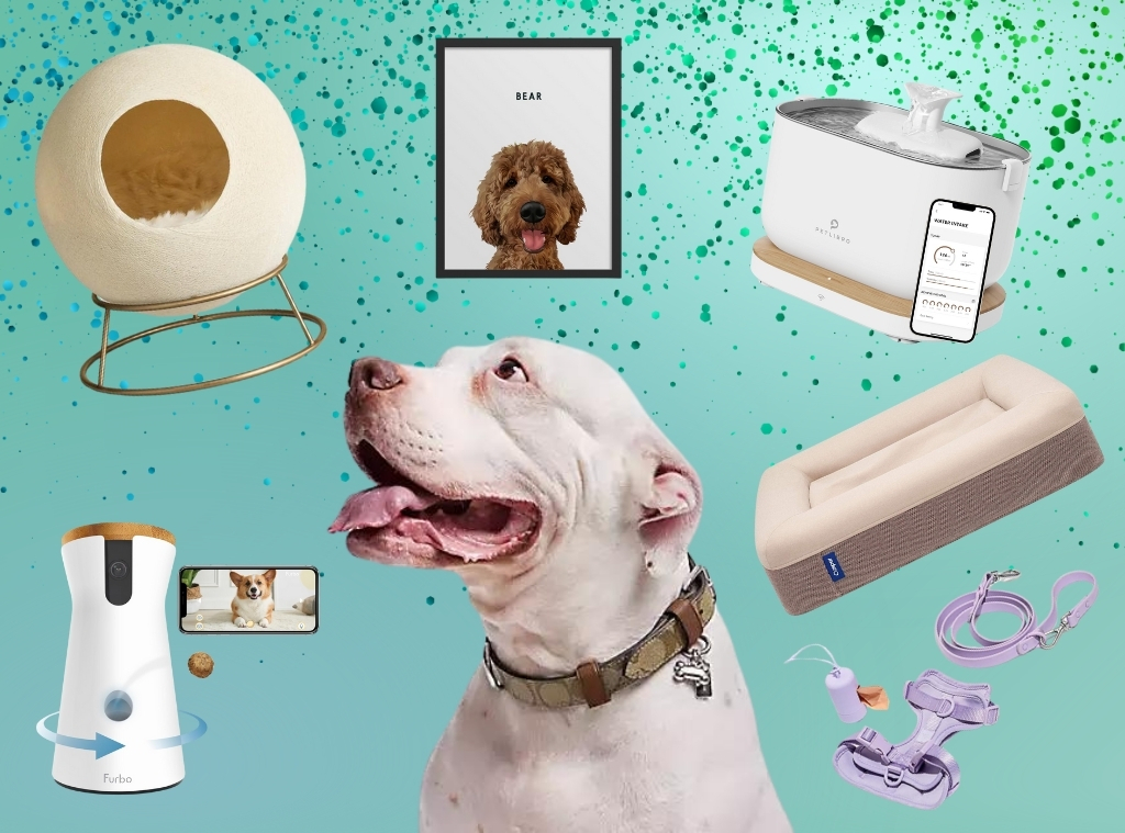 Best Gifts for Pets and Their Owners That Deserve A Round Of A-Paws