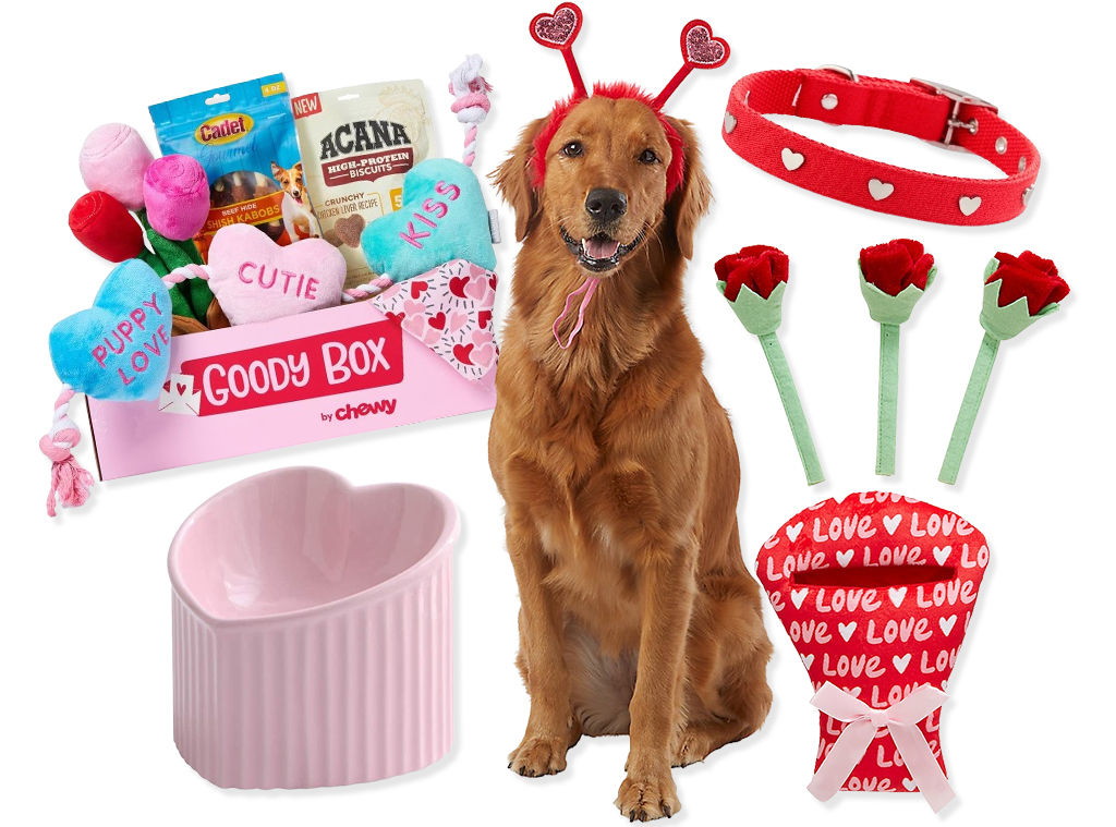18 Valentine's Day Pet Gifts for Dogs and Cats from
