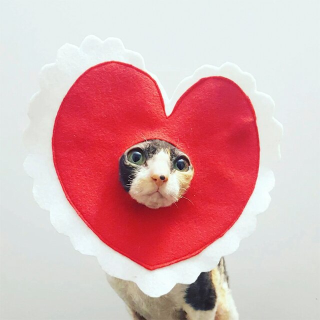 15 Valentine's Gifts For Your Pets That Are Paws-itively Purrfect