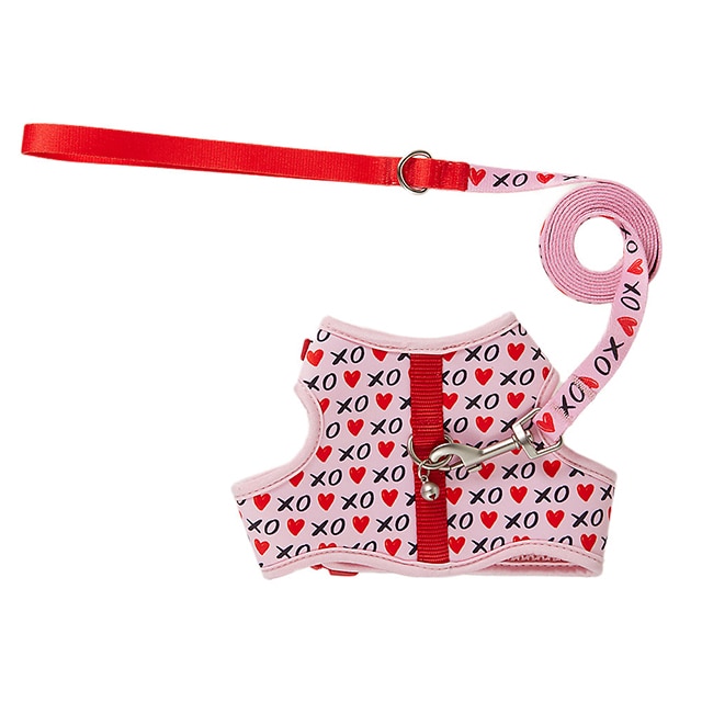 Whisker City Strawberry Cat Leash and Harness Combo, Kitten | PetSmart