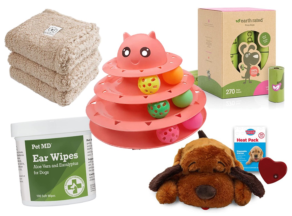 Ecomm: Problem-Solving Pet Products