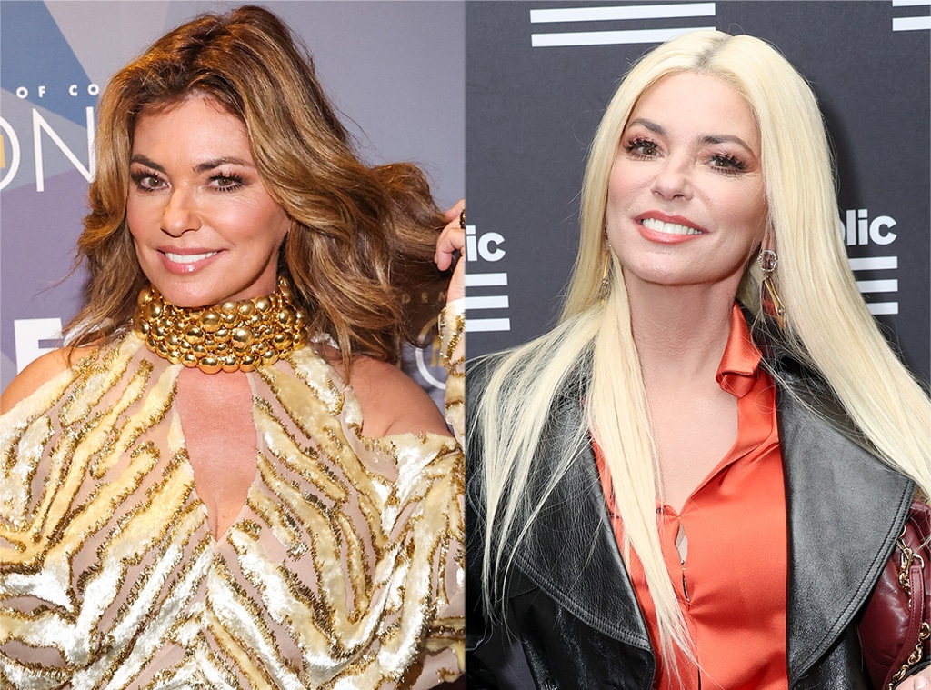 Shania Twain's New Platinum Blonde Hair Will Impress You Very Much - E!  Online