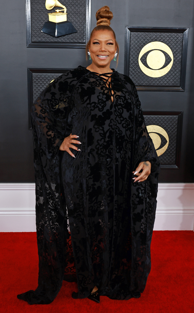 Grammys 2023 live red carpet: All the celebrity outfits