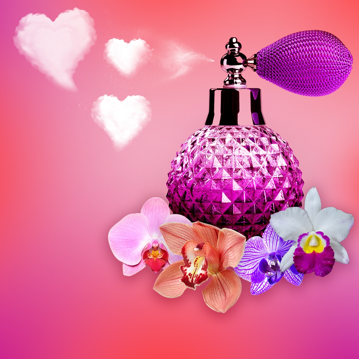 Valentine's Day, Can Fragrances Trigger Arousal, Scents To Get You in the Mood