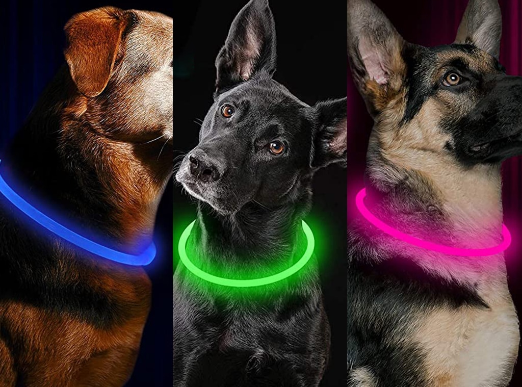 Safe dog collars sale