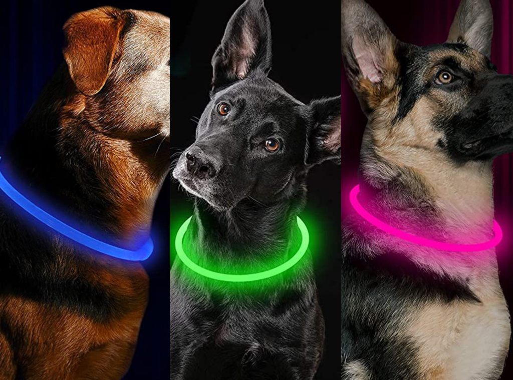 geest Ruimteschip deken Keep Your Dog Safe With an LED Collar That Has 18,500+ 5-Star Reviews - E!  Online