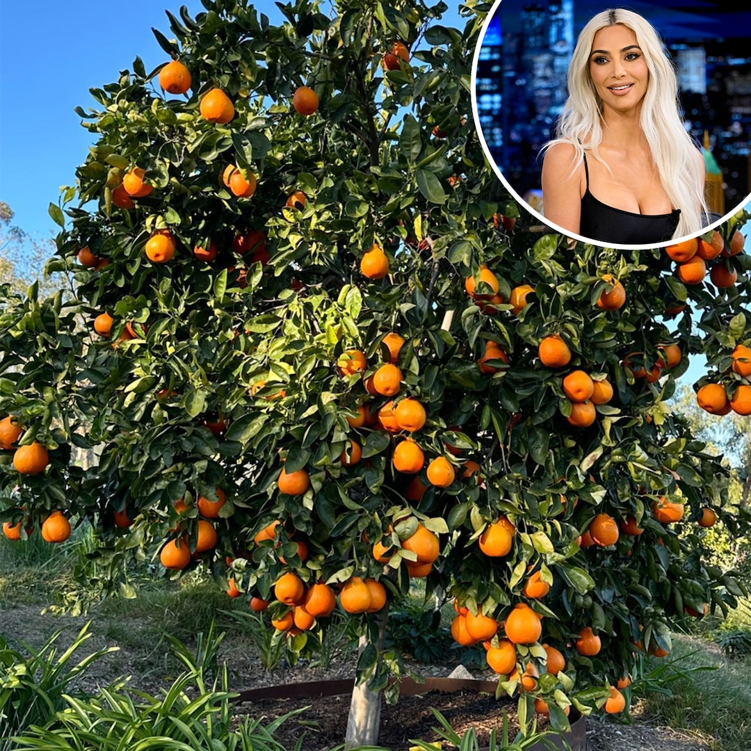 Allow Kim Kardashian to Give You a Tour of Her Jaw-Dropping Home Garden – E! Online