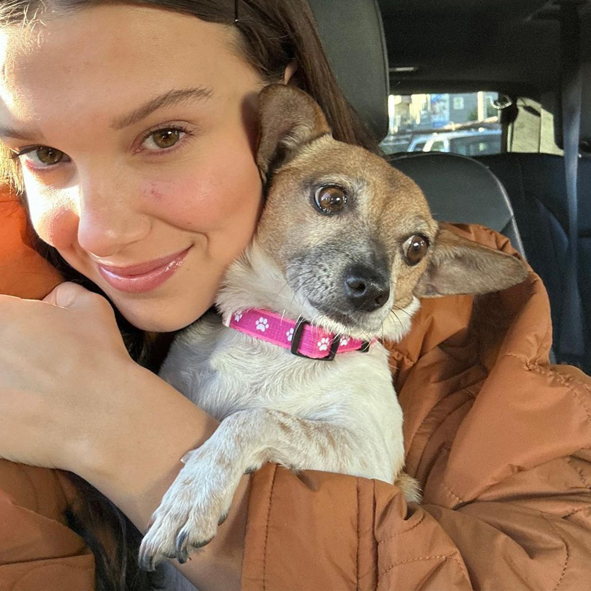 Millie Bobby Brown Enters the Vanderpump Universe in the Most Paws-itively Adorable Way – E! Online
