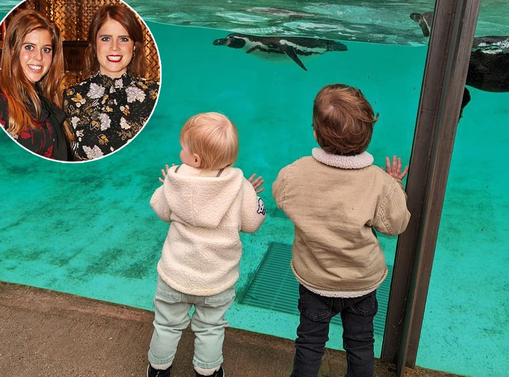 Princess Eugenie s Son and Princess Beatrice s Daughter Go to the Zoo