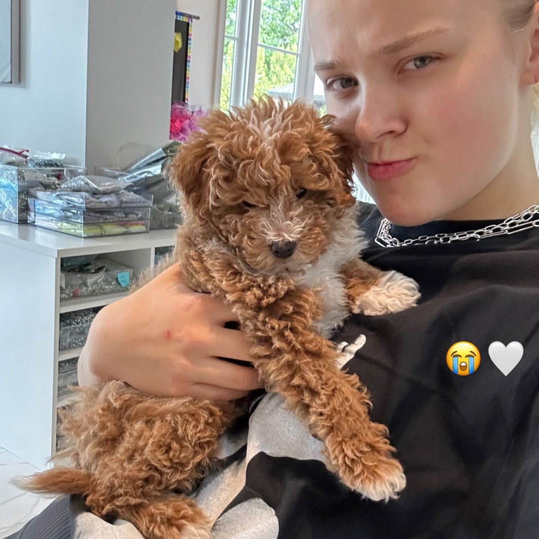 JoJo Siwa Mourns Death of Her Puppy After He Suffers Fatal Accident JoJo Siwa Mourns Death of Her Puppy After He Suffers Fatal Accident