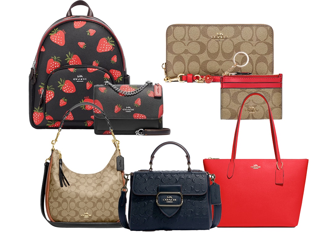 These 11 bags from Coach's new Disney collab are all half off