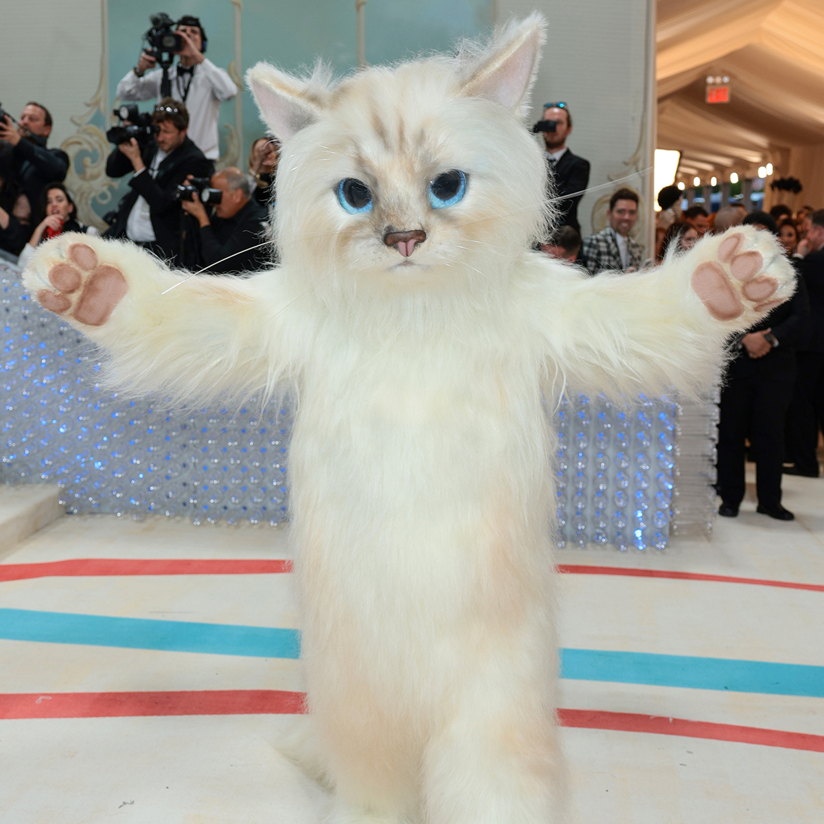 Karl Lagerfeld's Cat Choupette Reveals Whether She Will Attend the 2023 Met  Gala in His Honor