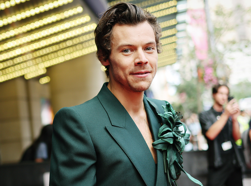 Celebrity Gossip and Entertainment News  Harry styles, Style, Harry styles  pictures