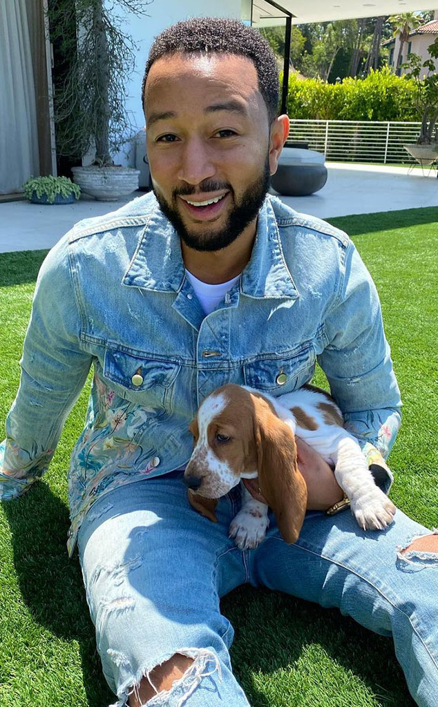 Celebrity Dog Dads, John Legend