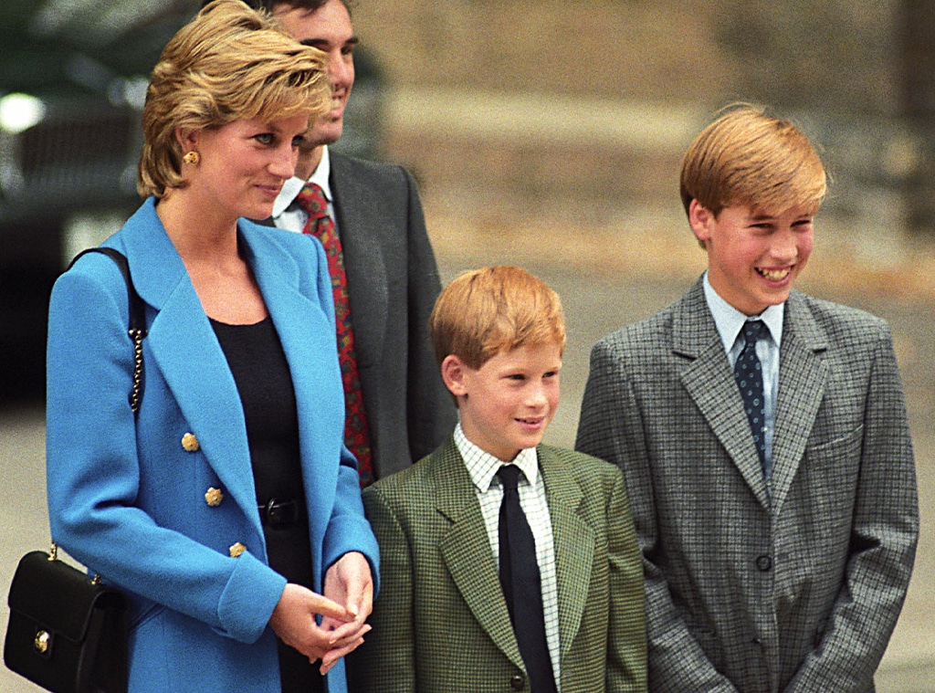 How Prince Harry and Prince William United in Honor of Princess Diana