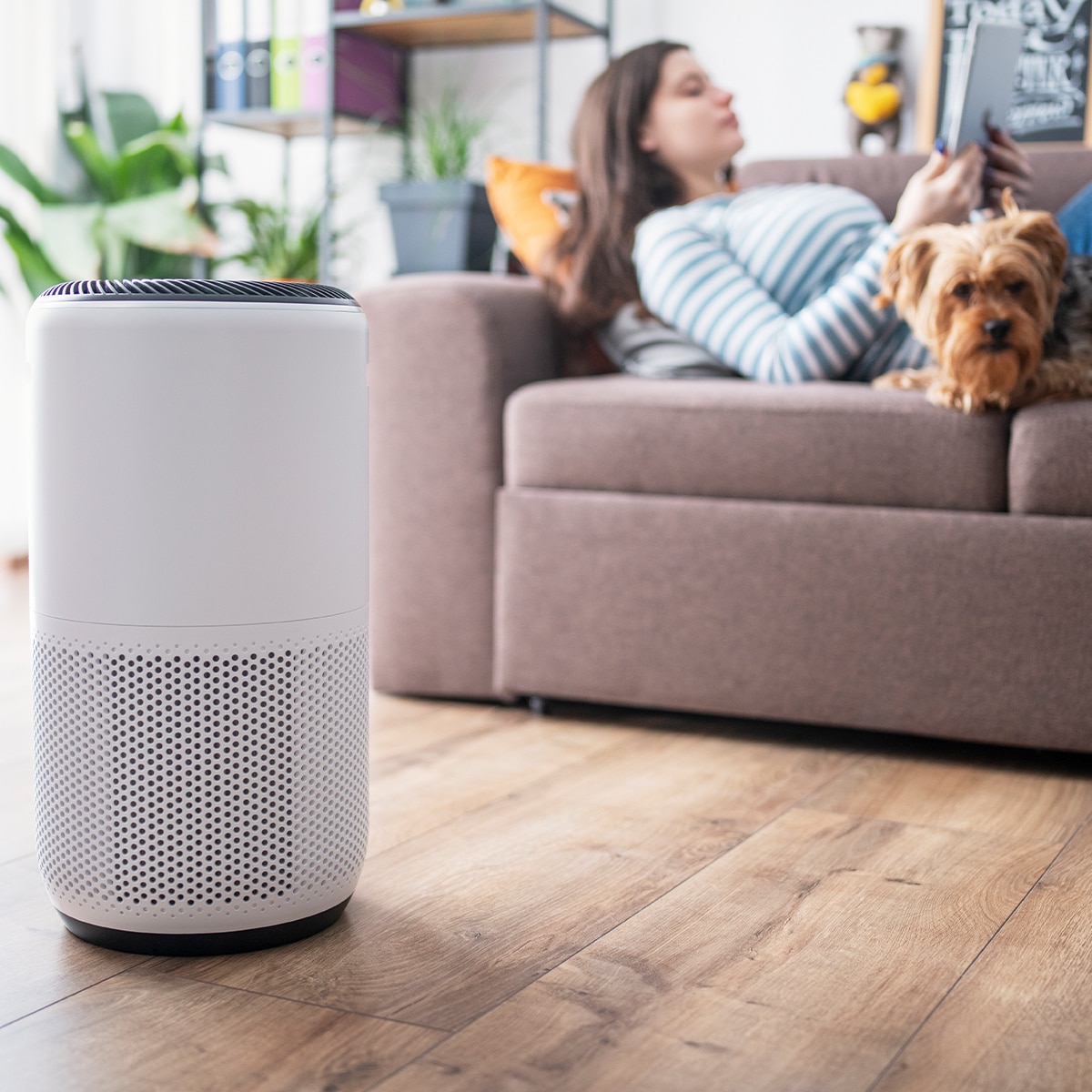 Ecomm: air purifiers