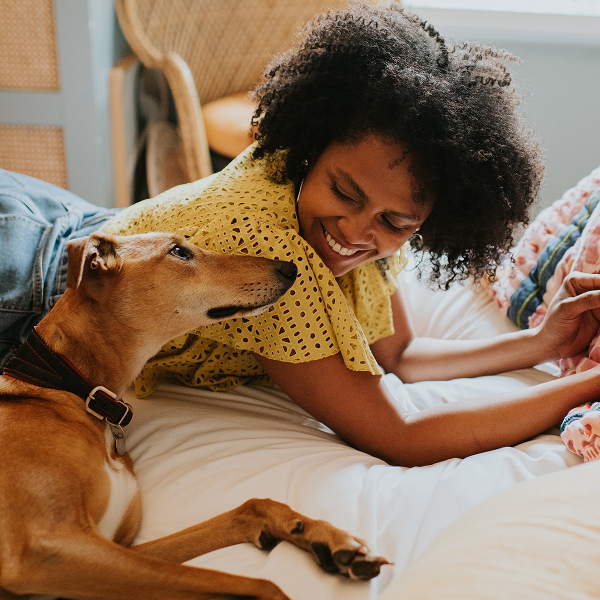 Fur-rific Amazon Prime Day Pet Deals: Beds, Feeders, Toys & More