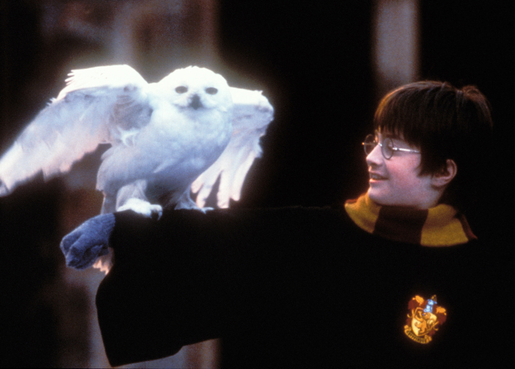 Daniel Radcliffe, Harry Potter and The Sorcerer's Stone, 2001