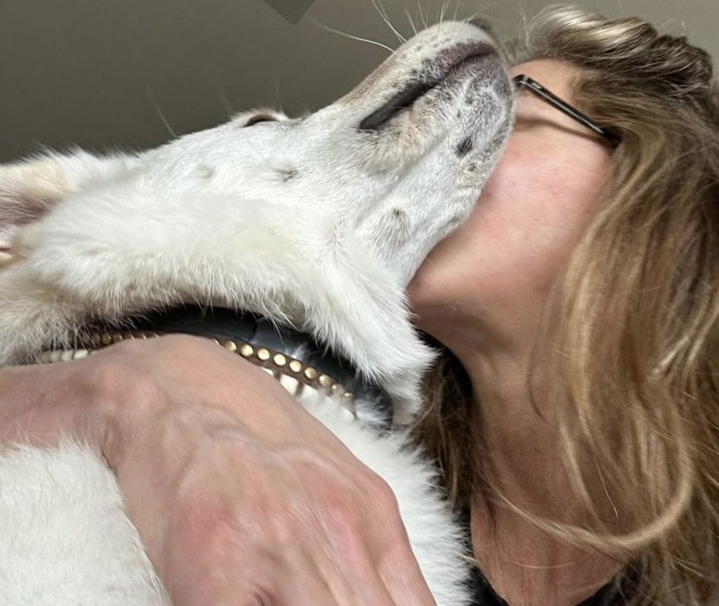 Jennifer Aniston, Dog