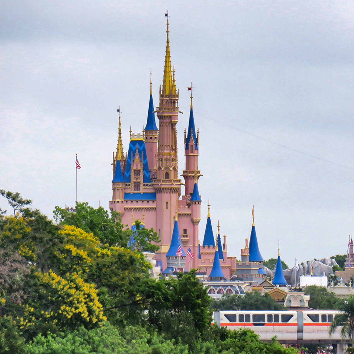 Disney’s Magic Kingdom Closed Down Amid Wild Bear Sighting