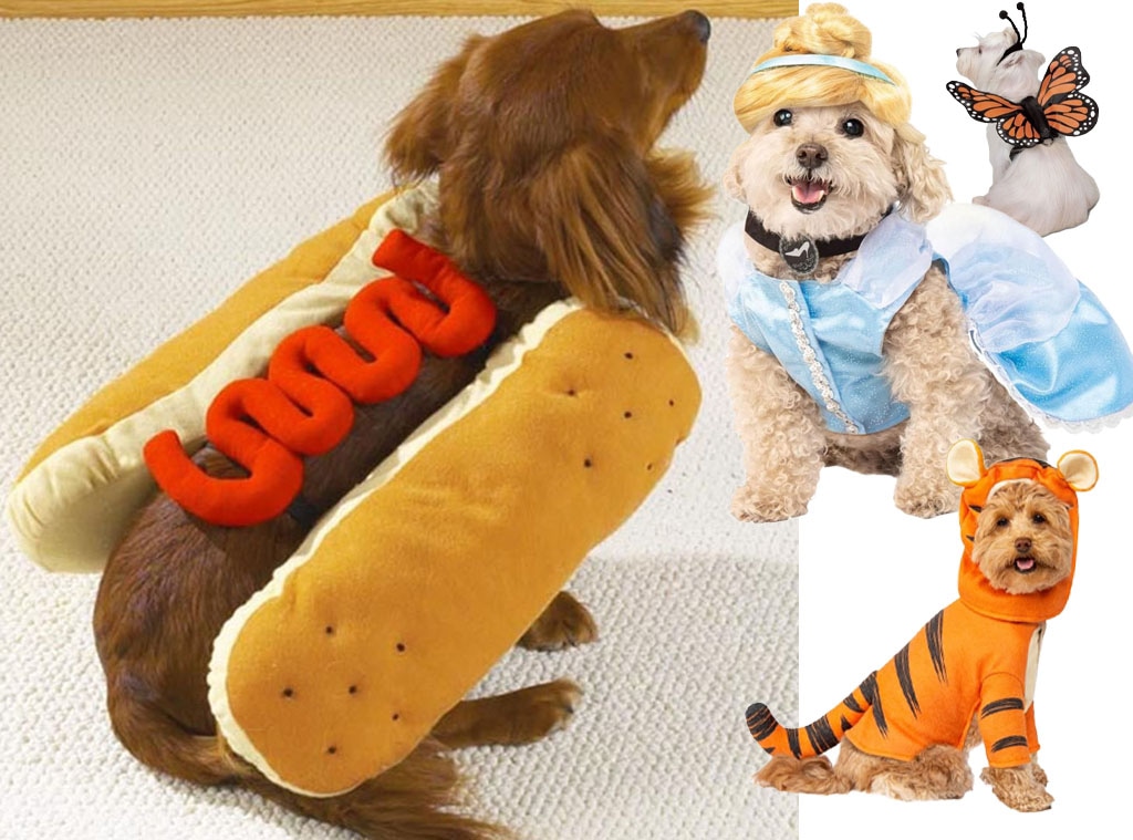 Ecomm: Dog Halloween Costumes