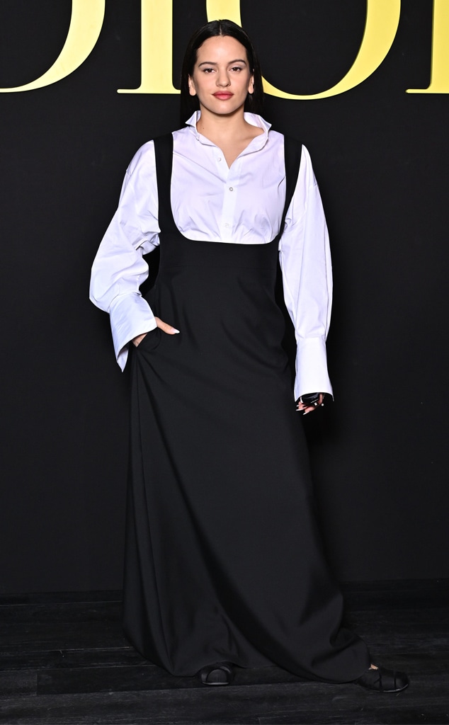 Dior Spring/Summer 2024 Show, Paris Fashion Week, Star Sightings