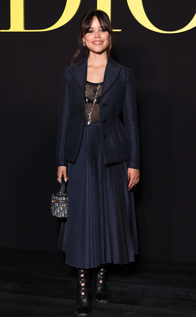 Dior Spring/Summer 2024 Show, Paris Fashion Week, Star Sightings