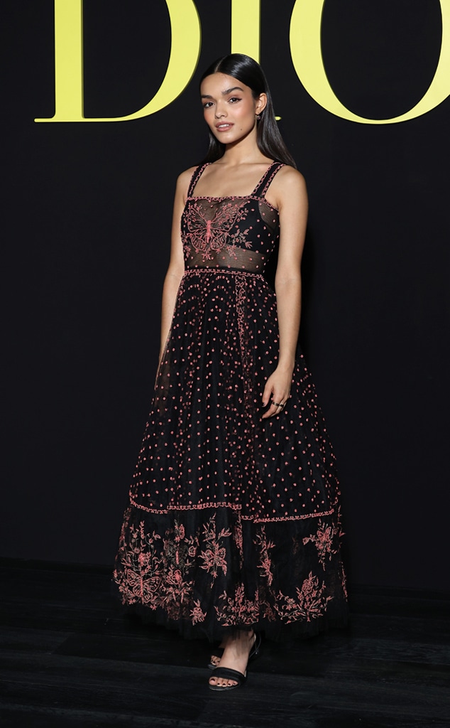 Dior Spring/Summer 2024 Show, Paris Fashion Week, Star Sightings