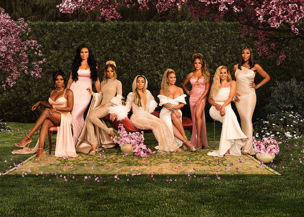The Real Housewives of Potomac Season 8 Cast Photos