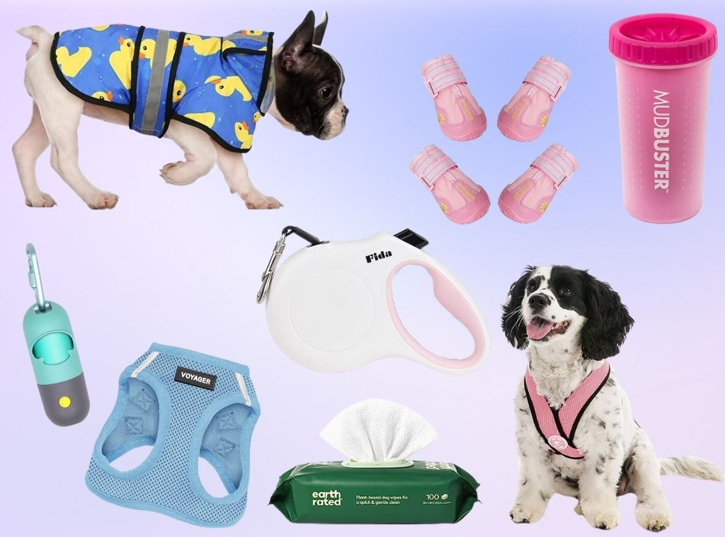 My Favorite Finds Under $10: Friday Finds - One Dog Woof