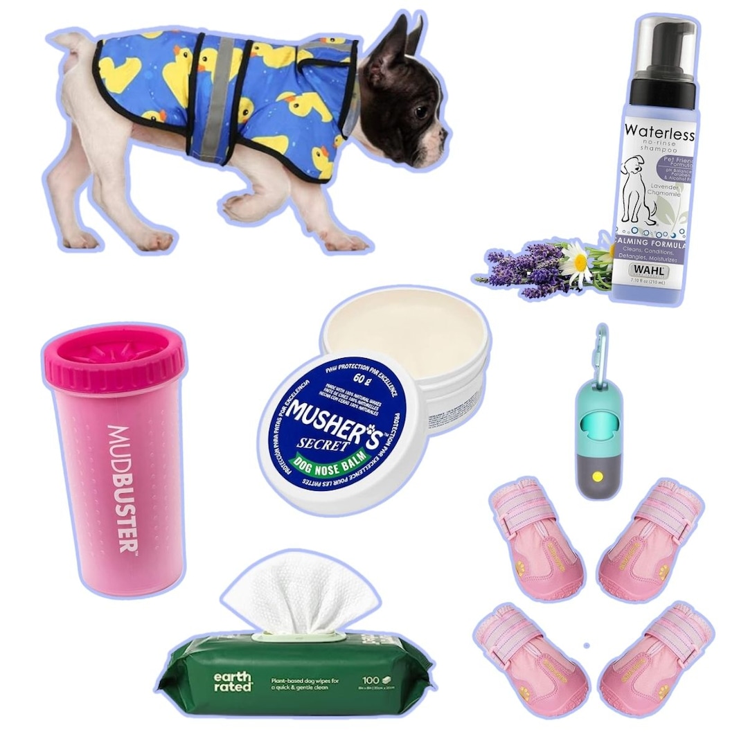 21 Dog Walking Products to Make Your Daily Strolls Less Ruff