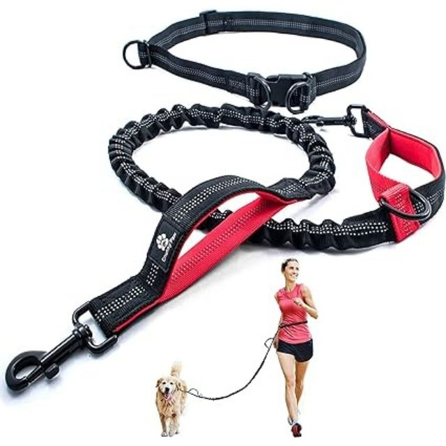 21 Dog Walking Products to Make Your Daily Strolls Less Ruff