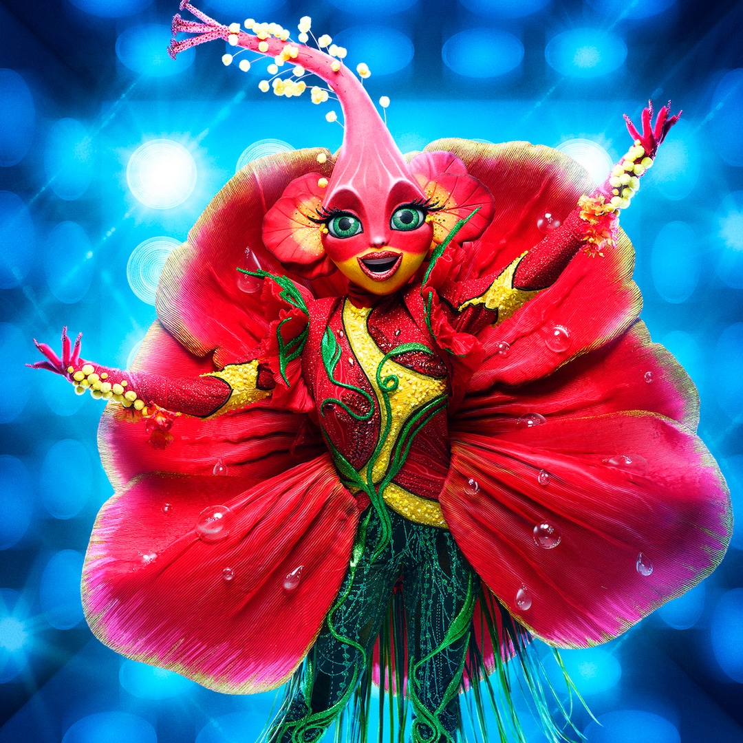 An Iconic Real Housewife Revealed on The Masked Singer