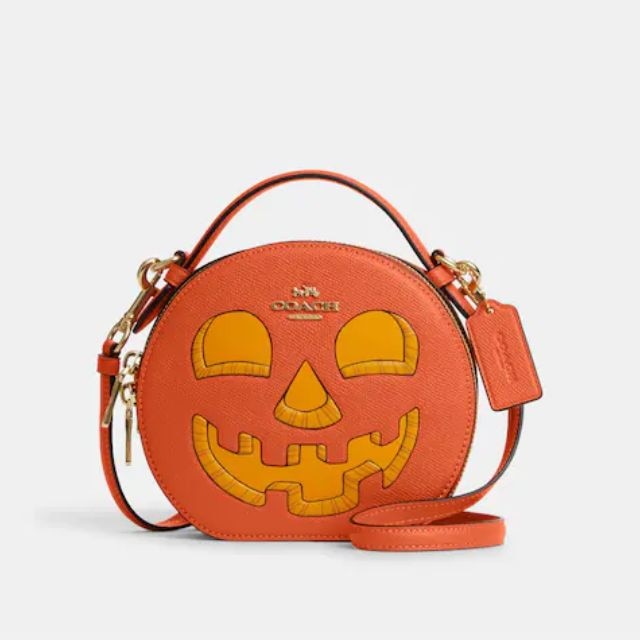 Unveiling the Coach Pumpkin Bucket Bag: A Comprehensive Guide