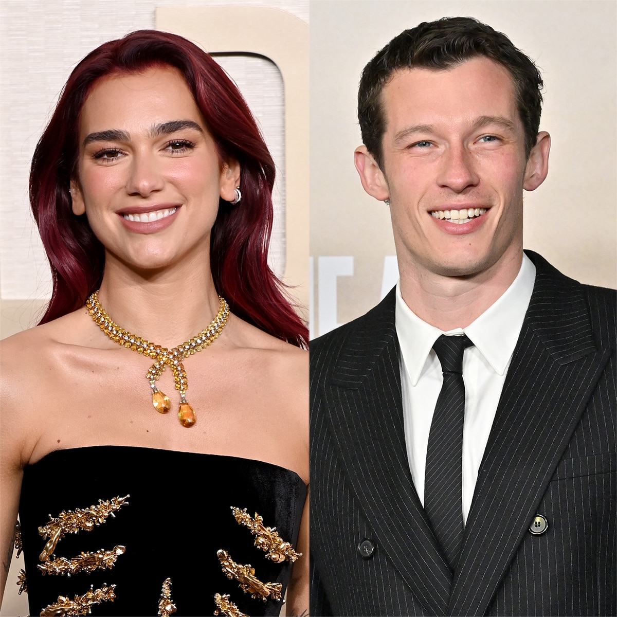 Dua Lipa, Callum Turner